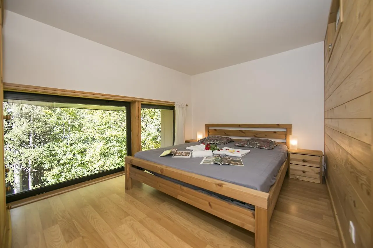 Apartment Residence Grand Roc - Ancolies 103 - Happy Rentals Chamonix France